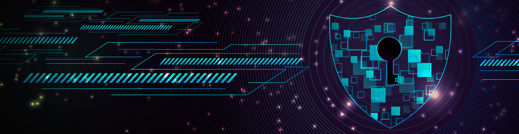 Digitale Security